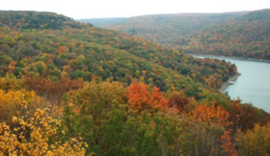 Large Rainbow Family Gathering Draws Response From Officials | News