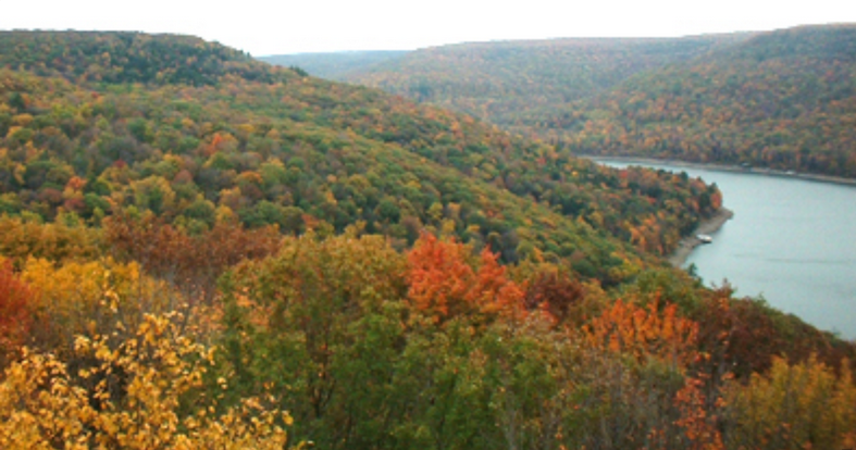 Large Rainbow Family Gathering Draws Response From Officials | News