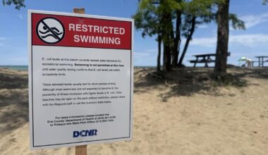 High E. Coli Levels Prompt Swimming Restriction at Presque Isle's Beach 6 | News