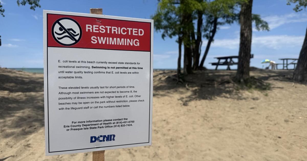 High E. Coli Levels Prompt Swimming Restriction at Presque Isle's Beach 6 | News