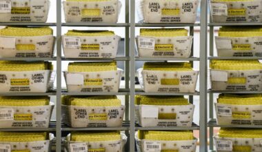 Workers sort mail ballots on Nov. 5, 2024, at Northampton County Courthouse in Easton, Pennsylvania. |