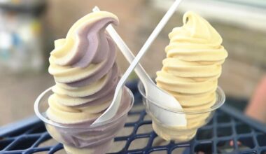 'Delicious dairy-free desserts': Bethlehem’s Vegan Treats lands on PETA’s ‘Nice Cream Trail’ | Eat, Sip, Shop