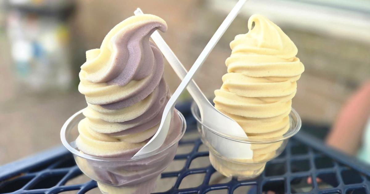'Delicious dairy-free desserts': Bethlehem’s Vegan Treats lands on PETA’s ‘Nice Cream Trail’ | Eat, Sip, Shop