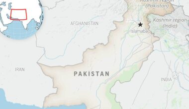 Pakistan says it carried out ground operation, strikes along Afghan border, killing 29 militants | Ap-world
