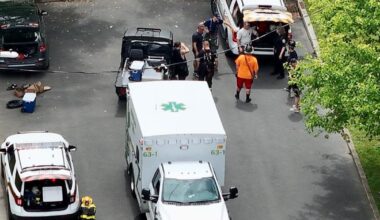 5 EMS crews work to rescue person in Northampton County woods | Northampton County