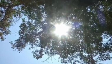 'Extremely dangerous': Red Cross says to take precautions during high temps | Berks Regional News