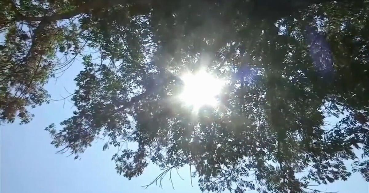 'Extremely dangerous': Red Cross says to take precautions during high temps | Berks Regional News