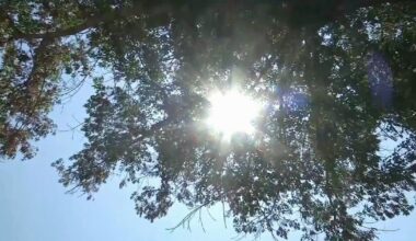 Health Beat: Recognizing heat-related illness | Health Beat