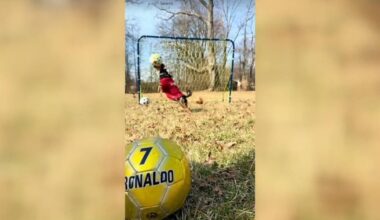 From Coopersburg to global fame: Rolando the dog has 50k followers and a mean save | Southern Lehigh County