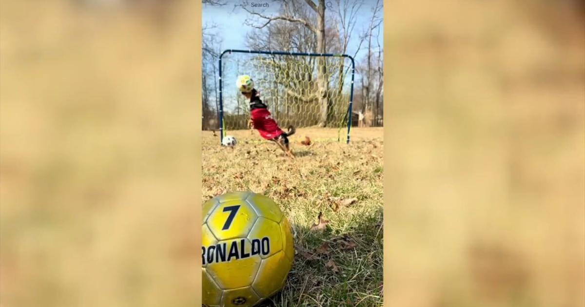 From Coopersburg to global fame: Rolando the dog has 50k followers and a mean save | Southern Lehigh County