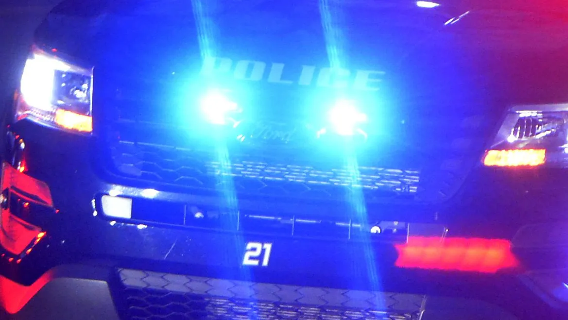 Police investigating after Erie County deputy shoots dog in Lake City