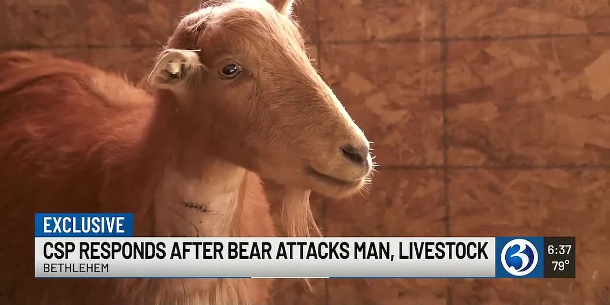 Bethlehem man says he fought off bear attacking pet goat
