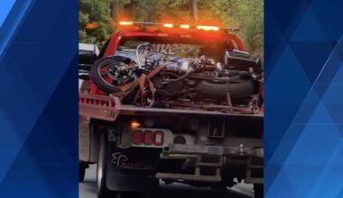 Dispatch: 1 hurt after motorcycle collides with bear in Armstrong County