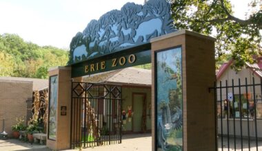 Erie Zoo visitors to see heavy equipment up-close at ‘Equipment Day’