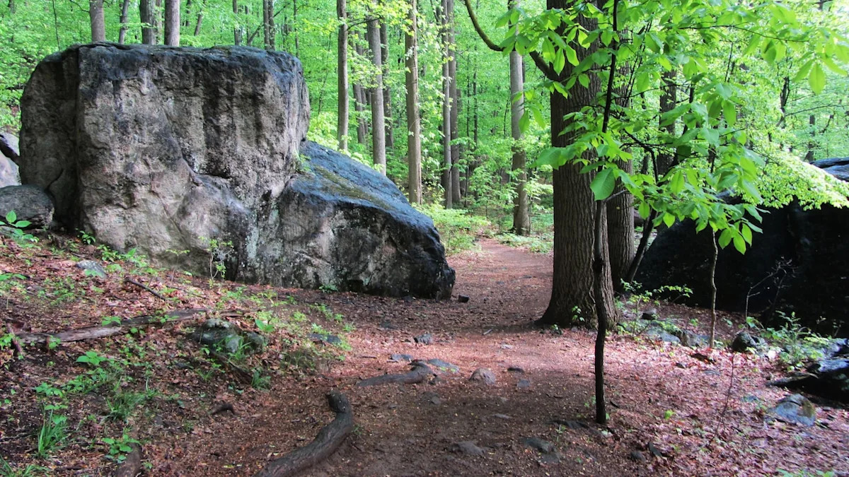 Have a Pennsylvania trail you love? Nominate it for this 2027 statewide honor.