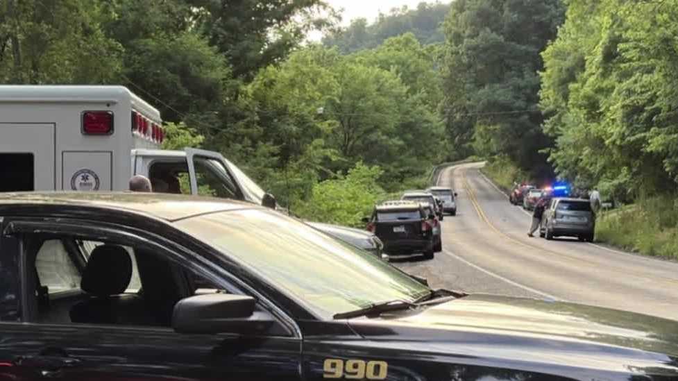Pennsylvania woman stabbed, son's wife charged with killing her