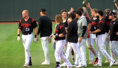 Peck’s walk-off hit lifts SeaWolves to 8-7 victory over Akron