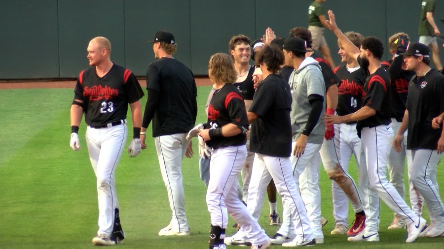 Peck’s walk-off hit lifts SeaWolves to 8-7 victory over Akron
