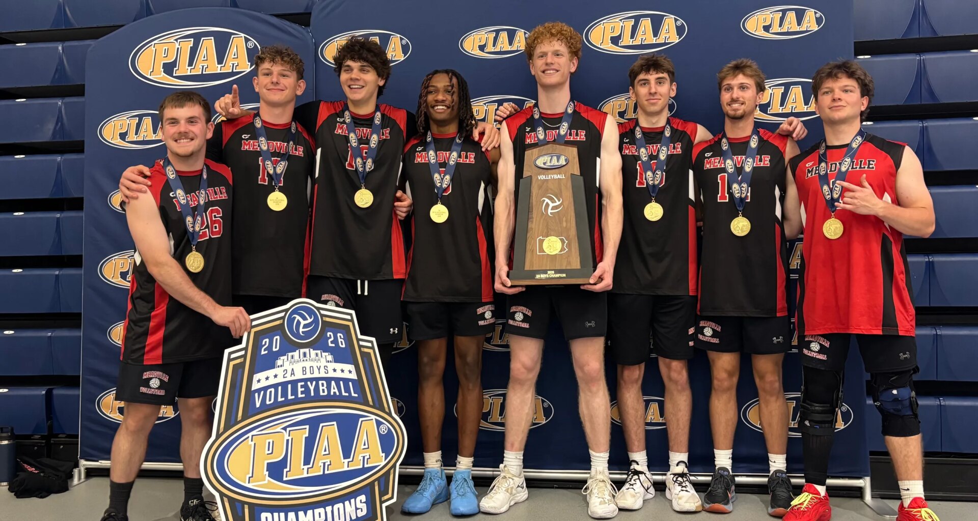 Boys volleyball | Erie Times-News District 10, Region All-Stars