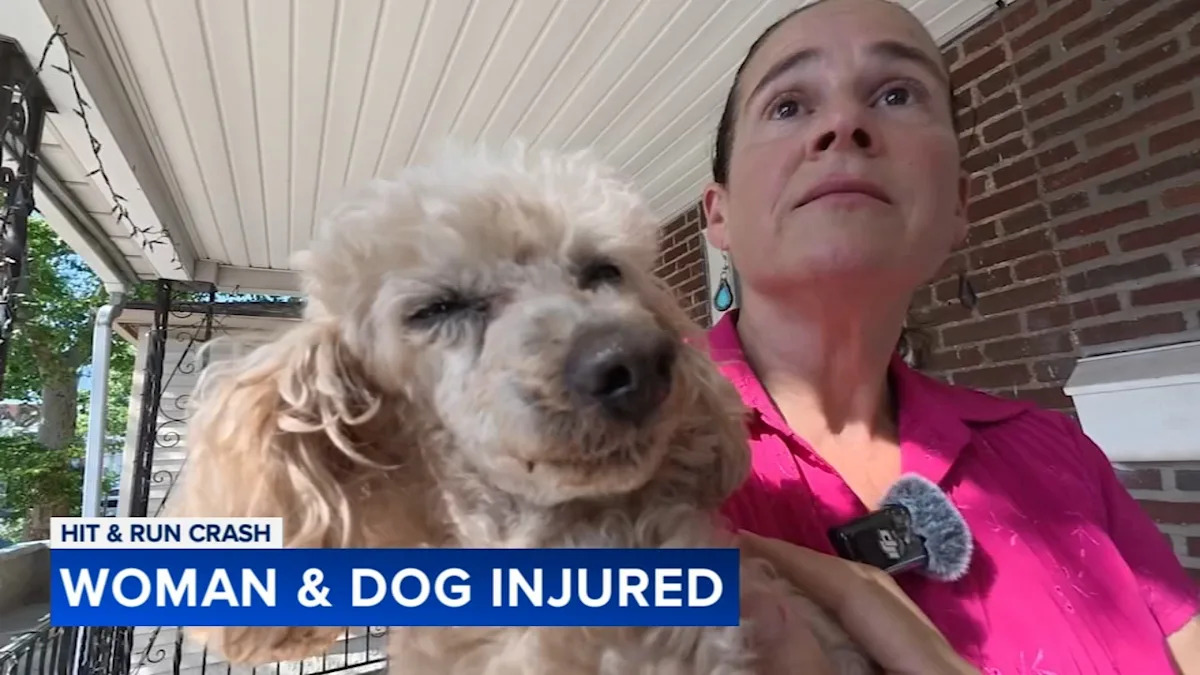 Motorcyclist flees after hitting woman and dog in South Philadelphia crosswalk