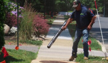 Lower Meiron restrictions on gas-powered leaf blowers begin June 1.