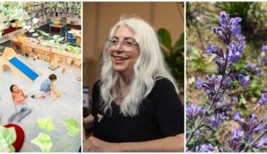 Citizen of the Week: Amy Thatcher, Beekeeping Librarian
