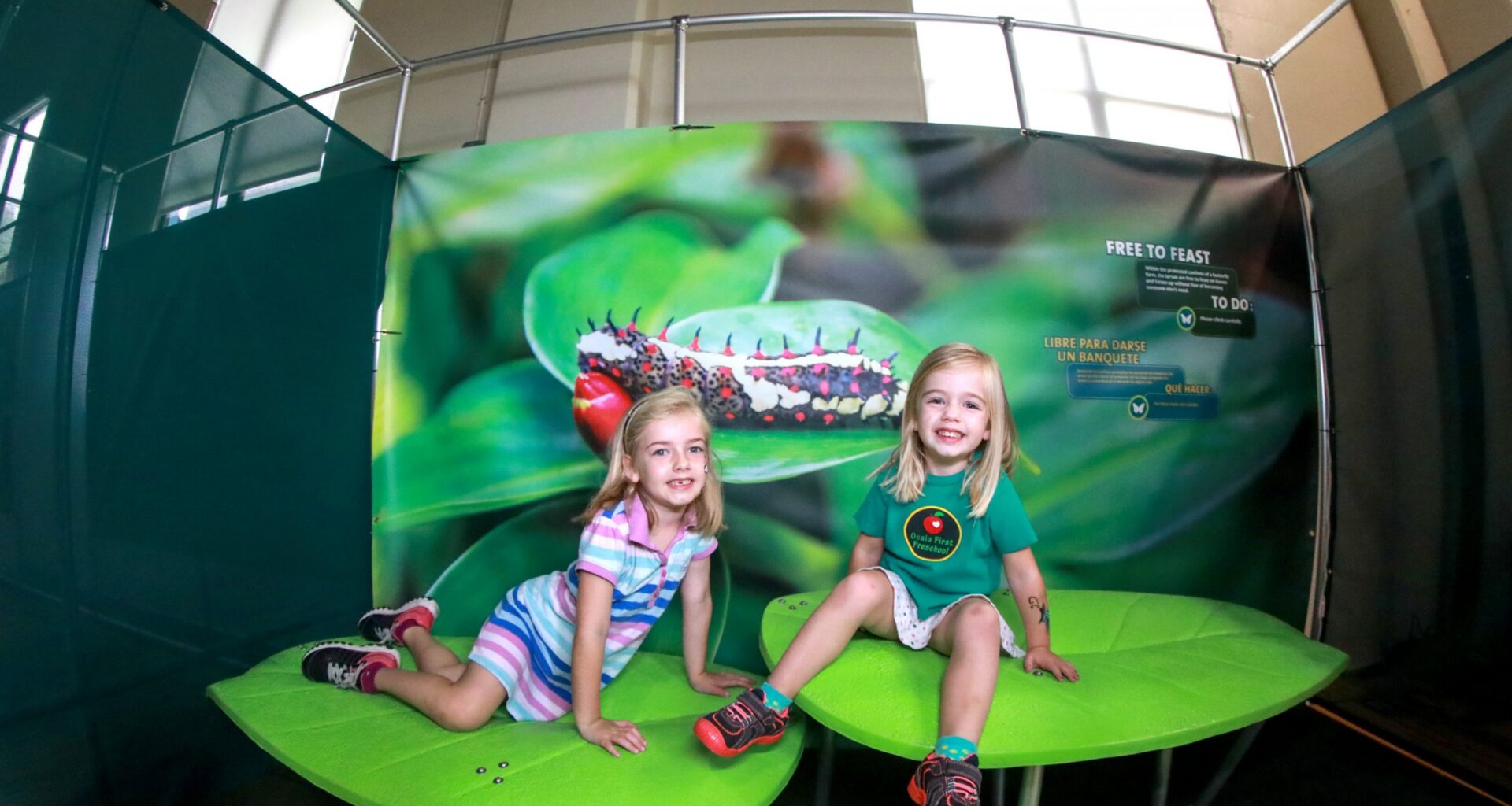 Butterfly Odyssey brings interactive rainforest conservation exhibit to Reading Public Museum