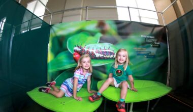 Butterfly Odyssey brings interactive rainforest conservation exhibit to Reading Public Museum