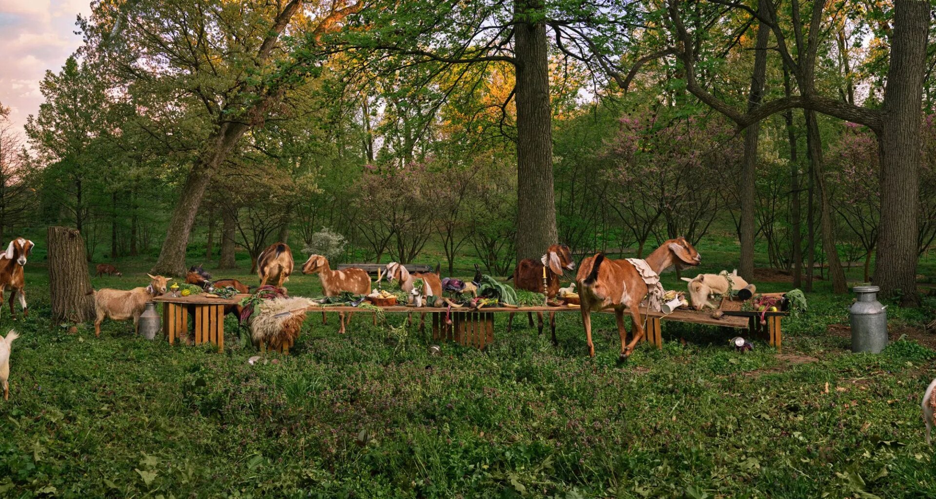 These goats spent a night on the town with Philadelphia’s art world
