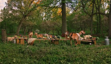 These goats spent a night on the town with Philadelphia’s art world