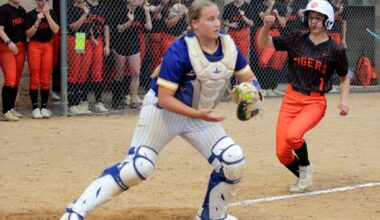 PIAA CLASS 4A SOFTBALL: Hallett’s toughness behind plate sparks Valley View – Scranton Times-Tribune