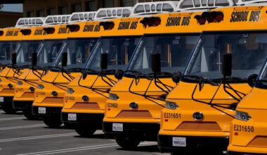 Ex Parkland bus drivers illegally accessed student records: DA