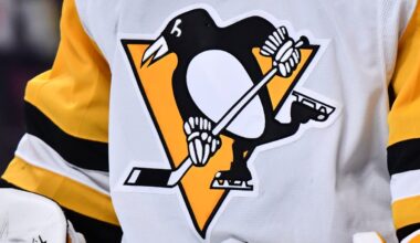 NHL OKs FSG’s sale of Pittsburgh Penguins to Hoffmann family – NBC Boston