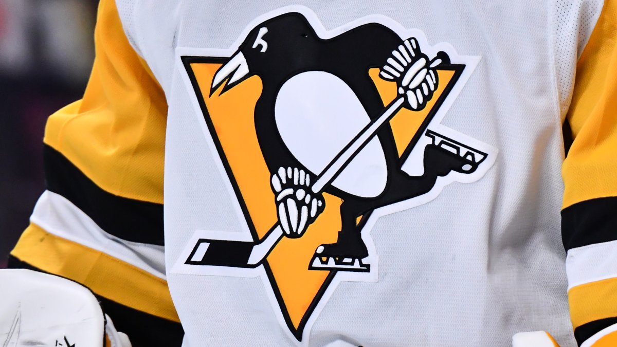 NHL OKs FSG’s sale of Pittsburgh Penguins to Hoffmann family – NBC Boston