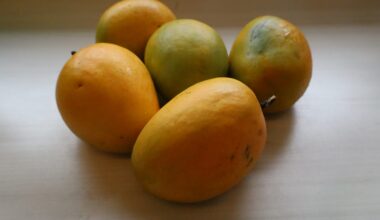 Navigating Philadelphia’s underground Indian mango market