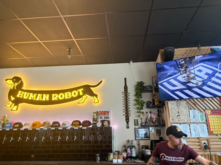 World Cup Human Robot