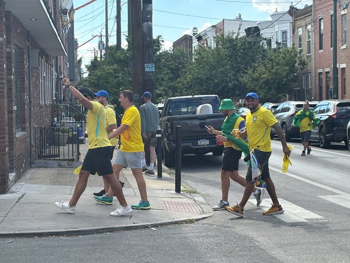 World Cup Brazil fans