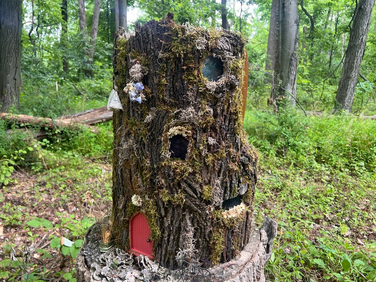 One of the Fairy Houses submitted to the Schuylkill Environmental Center for their Fairytale Trail at the 2nd Annual Philadelphia Fairy Festival. All made of natural materials like wood and leaves. This one is made to look like a wooden tree stump, but was actually made from a wood chair.