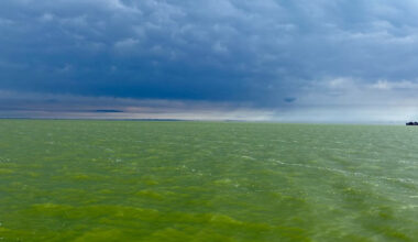 Photo of western Lake Erie with green, algae-filled waters with grey clouds overhead.