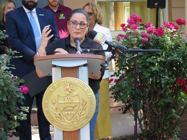 Isamac Torres-Figueroa, board president of the Berks County Latino Chamber of Commerce, says the 222 Corridor Summer Soccer Series will help Reading, Allentown and Lancaster highlight their culture, small businesses and entertainment. (DAVID MEKEEL - READING EAGLE)