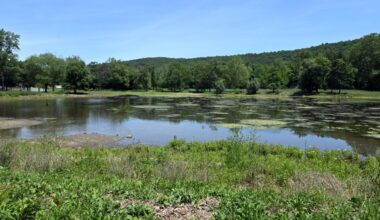 Patience urged as Crystal Lake restoration enters second phase this summer