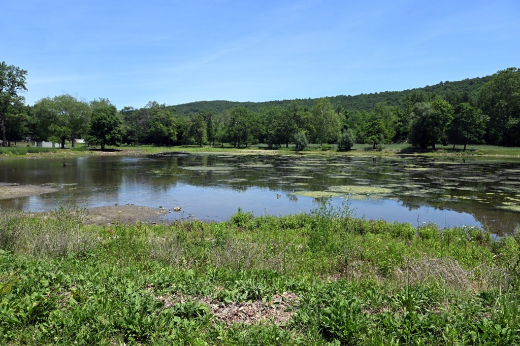 Patience urged as Crystal Lake restoration enters second phase this summer