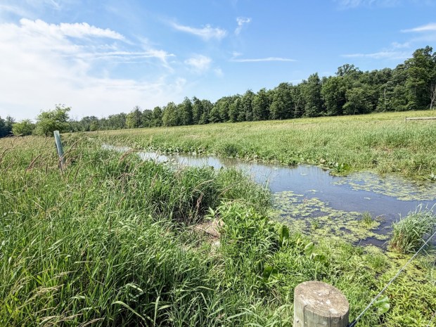The headwaters of the east branch of the Conestoga River are shown from a farm in Caernarvon Township. (Courtesy of the Pennsylvania Department of Environmental Protection)