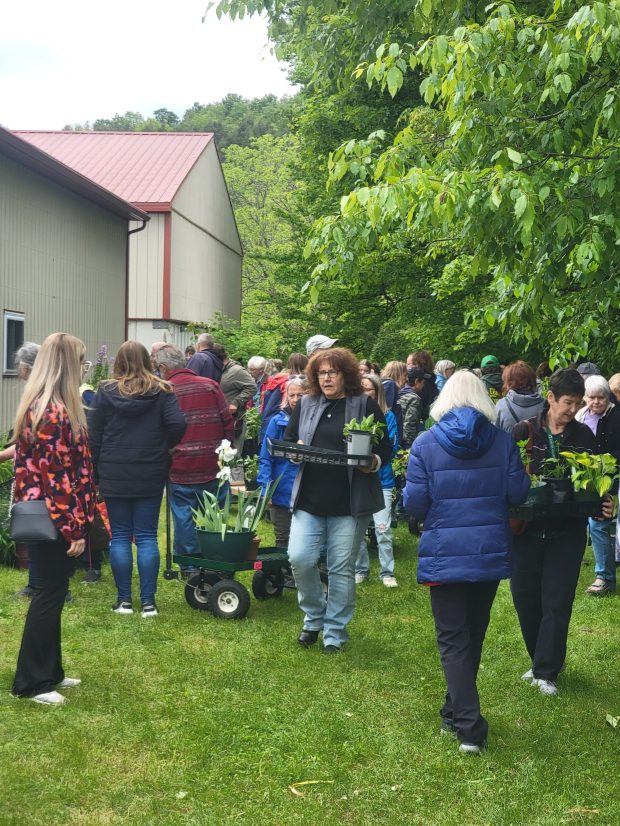 Mountain View Garden Club's annual Plant Exchange and Market Place will be held Sunday, June 7, at the Clifford Township Community Center and Park, located on Cemetery Street. The event is from 11 a.m. to 4 p.m. with the plant sale starting at 2 p.m. the market place and Second Hand Rose flea market opening at 11 a.m. Attendees will find a wide selection of locally grown perennials for sale. Participants also can exchange two perennials for two of similar size or value. The flea market will be held in the township's storage facility/garage. Donations made at this market help support the Mountain View Garden Club Educational Grants for local schools. This year, three schools have already been approved to receive grants for their innovative projects. At the market, visitors can explore booths from local artisans, businesses and food vendors selling a variety of products and food, including Creamworks Creamery serving shakes, ice cream floats, sundaes and cones. The event also will feature live music with Jim Carro. To participate as a vendor, contact Diane at D23sysko@gmail.com or call 610-704-9564. (SUBMITTED)