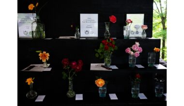 Electric City Flower Show and museum events planned