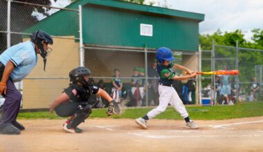 LITTLE LEAGUE ROUNDUP: Reed’s walk-off hit lifts Green Ridge in D32 Minors – Scranton Times-Tribune