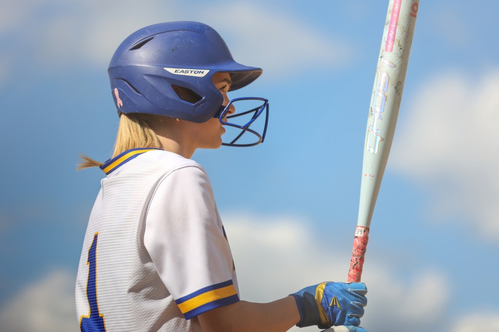 PIAA SOFTBALL: Evans proves leader for Valley View – Scranton Times-Tribune