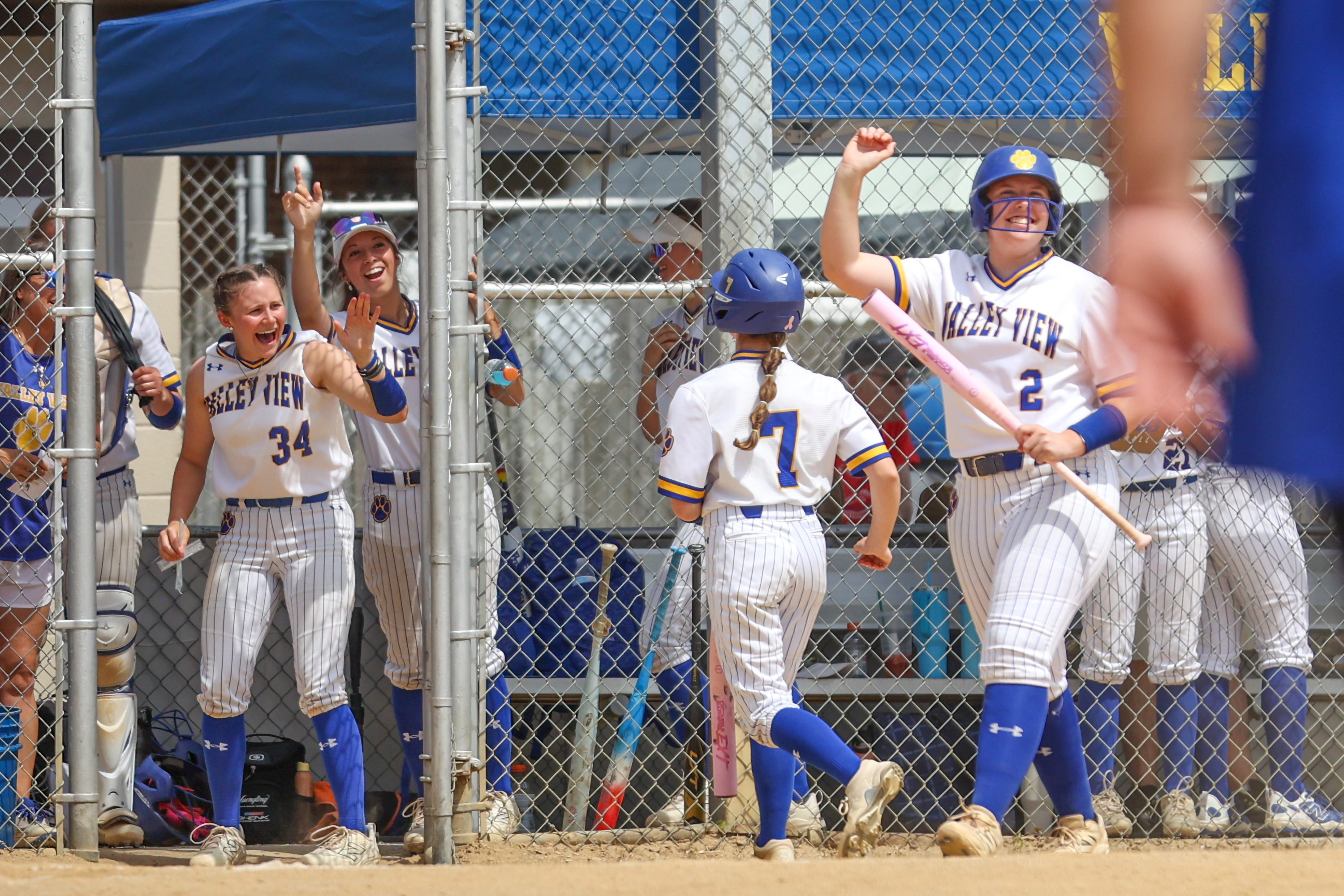 Valley View celebrates after scoring first in the PIAA softball...