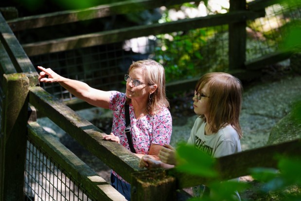 A woman points into the distance while standing with her grandson at the Rie Rie Overlook in Nay Aug Park in Scranton, Pa., on Tuesday, June 16, 2026. (ISAAC DIAZ/STAFF PHOTO)