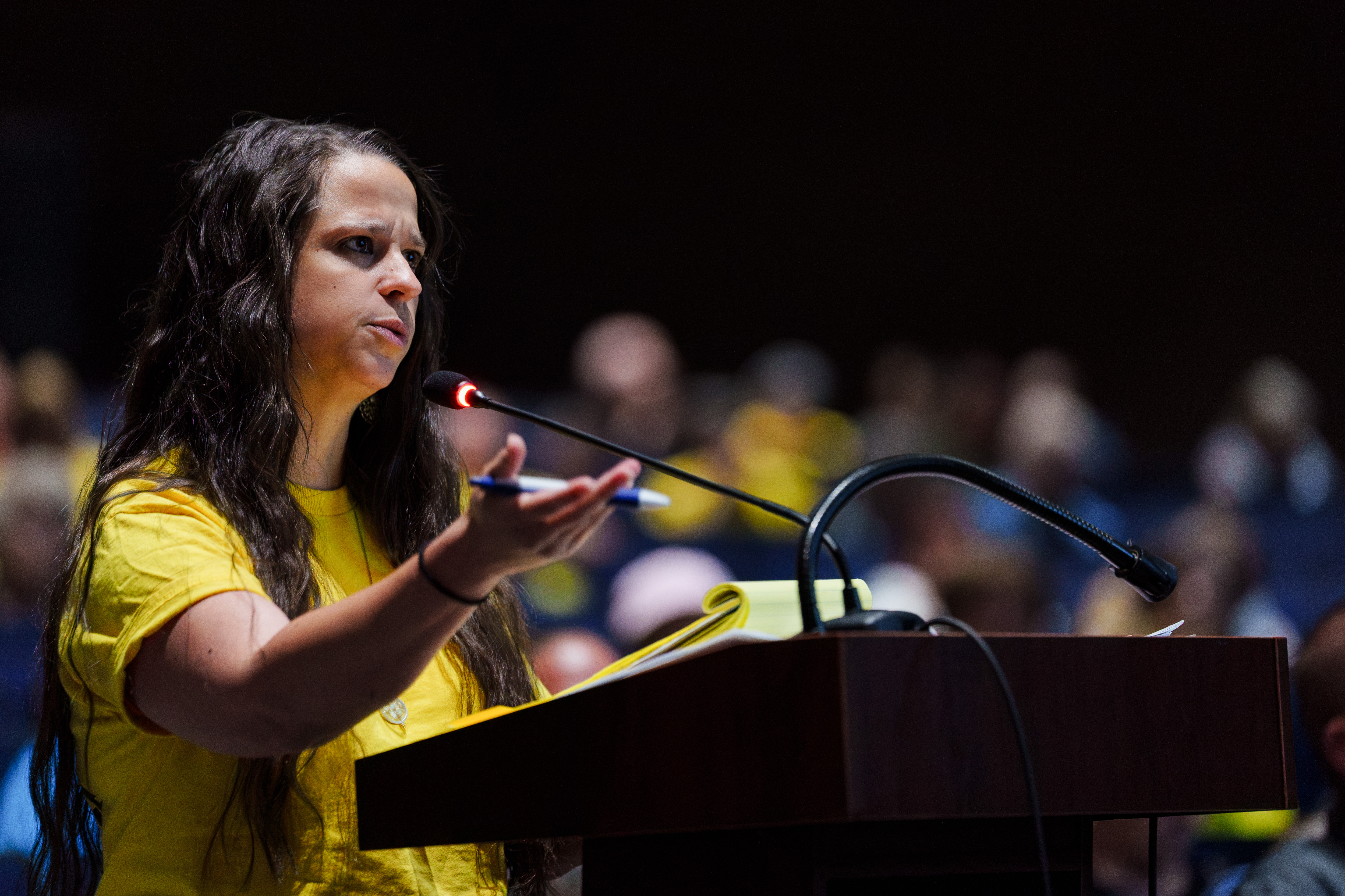 Tamara Misewicz-Healey, co-founder of “Stop Archbald Data Centers”, speaks during...